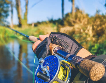 Fly Rod: A Comprehensive Guide to the Best Options for Beginners and Budget-Friendly Choices