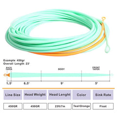 Kylebooker Skagit Shooting Head Fly Line 200GR-650GR 17FT-25FT with 2 Welded Loops