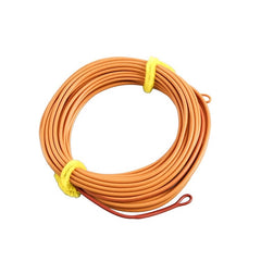 Kylebooker Skagit Shooting Head Fly Line 200GR-650GR 17FT-25FT with 2 Welded Loops