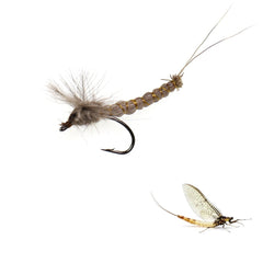 Kylebooker 6PCS #10#12 #14 CDC Feather Wing Mayfly Deer Hair Body Dry Fly Rocky River Trout Fishing Flies Bait Lure