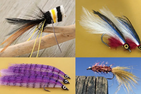 Aquatic Fly Fishing Insects