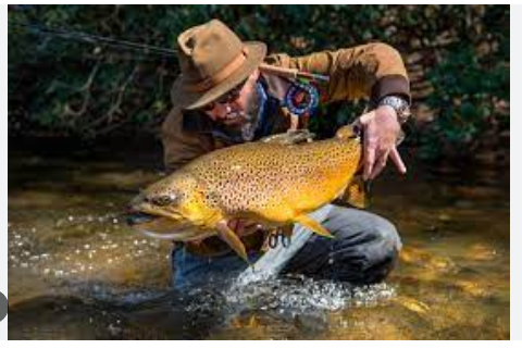 The Five Stages of Fly Fishing