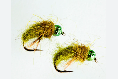 Complete Guide to Fly Fishing with the Beaded Caddis Nymph