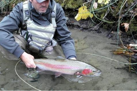 5 Favorite Fly Patterns for Lakes – Kylebooker