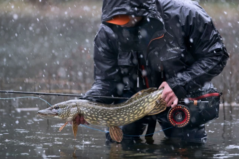 What equipment should be used for fly fishing for pike