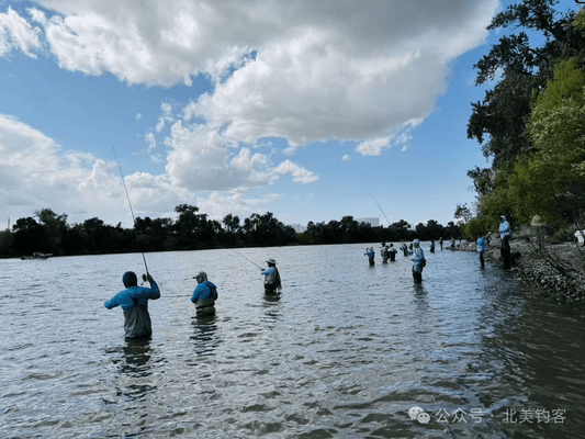 2025 Northern California American Shad Tournament