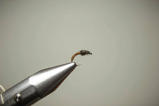 How To Tie A Brassie Fly?