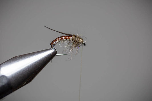 How To Tie A Caddis Nymph?