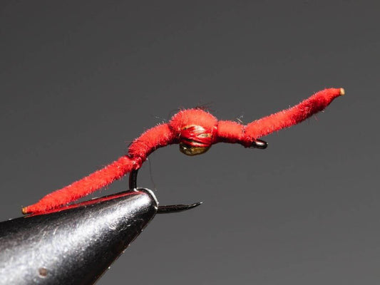 How to Tie a San Juan Worm?