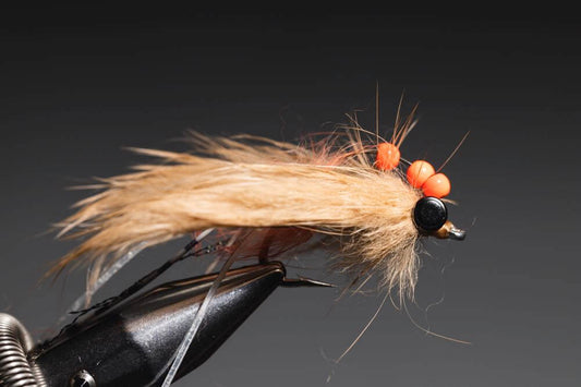 How To Tie An Avalon Shrimp?