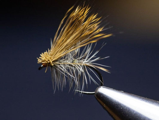 How to Tie the Elk Hair Caddis?