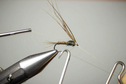 Flies: Top Choices for Saltwater, Carp, Salmon, and Winter Fishing