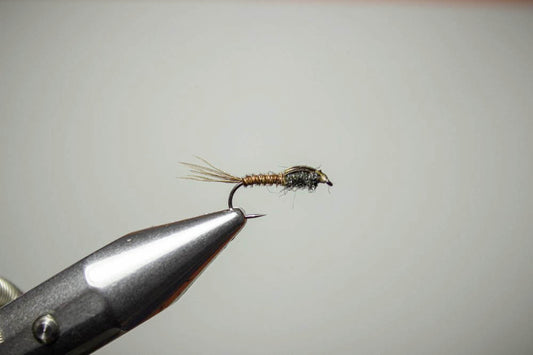 How To Tie a Pheasant Tail Nymph?