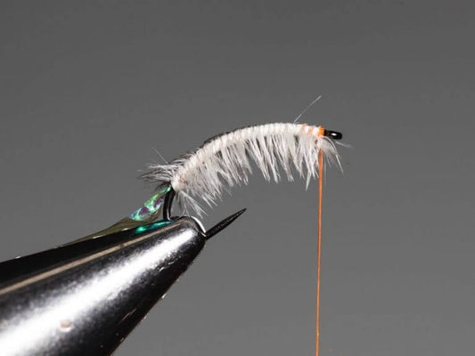 Flies: A Comprehensive Guide to the Best Types for Beginners and Hand-Tied Options