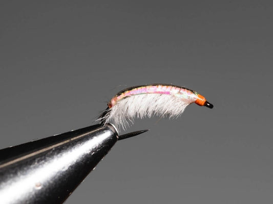 Flies: A Comprehensive Guide to the Best Fishing Flies for Beginners and Experienced Anglers