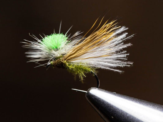 Flies: Top Tactical Nymphs for Trout and Bass Fishing