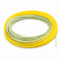 Kylebooker Salmon/Steelhead Fly Line,Front Taper for Single Handed Roll and Spey Casting, Slick Coating
