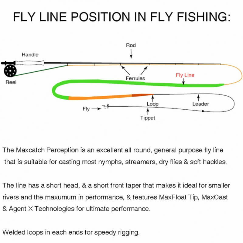 Kylebooker Perception Fly Fishing Line