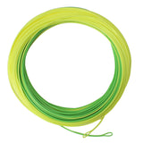 Kylebooker Gold Fly Line 100FT Weight Forward Floating 3 4 5 6 7 8WT Double Color 2 Welded Loops Fly Line