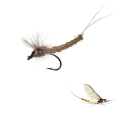 Kylebooker 6st #10#12 #14 CDC Feather Wing Mayfly Rådjur Hårkropp Torrfluga Rocky River Öring Fiske Flugor Age Lure