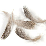 Kylebooker [20 Stück/Beutel] Wifreo natürliche Stockentenflankenfedern aus Wildgänsehaar für Fliegenflügel, Schwänze, Luftschlangen, Fliegenbindematerial