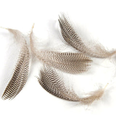 Kylebooker [20PCS/Bolsa] Wifreo Plumas de flanco de pato real barrado natural Pelo de ganso salvaje para alas de mosca Colas Serpentinas Material para atar moscas