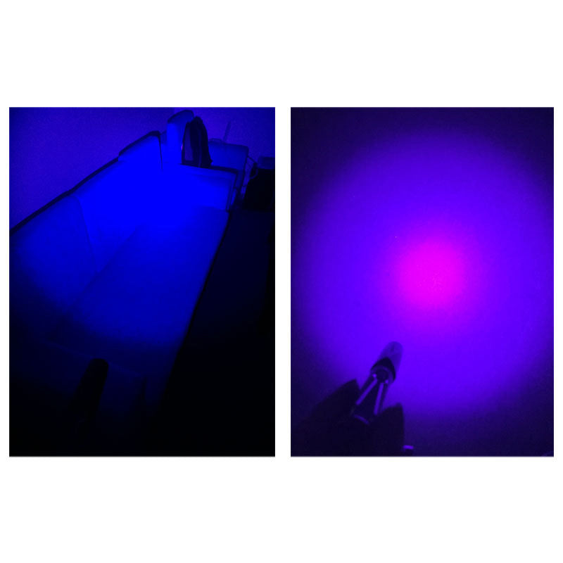 Kylebooker TY08 Deluxe Pesca a mosca Colla UV Cura Luce Torcia UV Penna Torcia Ultravioletta Ninfa Buzzer Testa Polimerizzante Lampada a luce nera