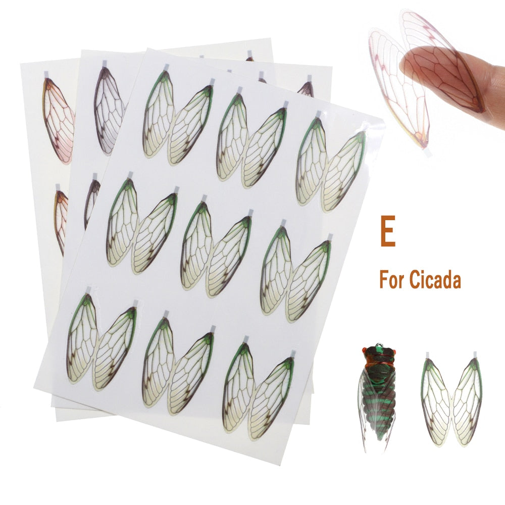 Kylebooker 2 paquets d'ailes de mouche réalistes prédécoupées pour attacher des ailes d'insectes synthétiques Stonefly Mayfly bouteille mouche truite leurre attachant des matériaux
