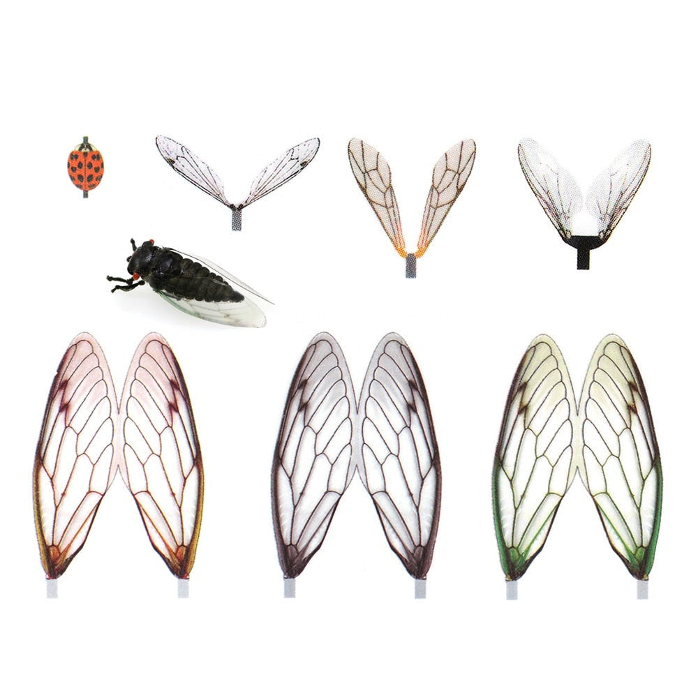 Kylebooker 2 Packungen realistische Fliegenflügel, vorgeschnittene Fliegenbinde-Insektenflügel, synthetische Stonefly-Eintagsfliege, Flaschenfliege, Forellenköder-Bindematerialien